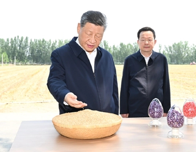 小胖又在指导樊振东