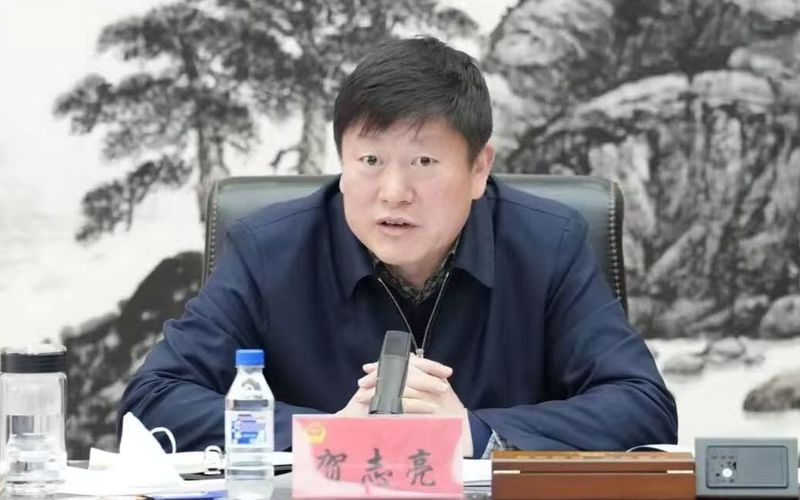 外逃鸡西原副市长涉案逾亿