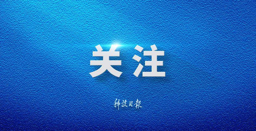 林诗栋张本智和