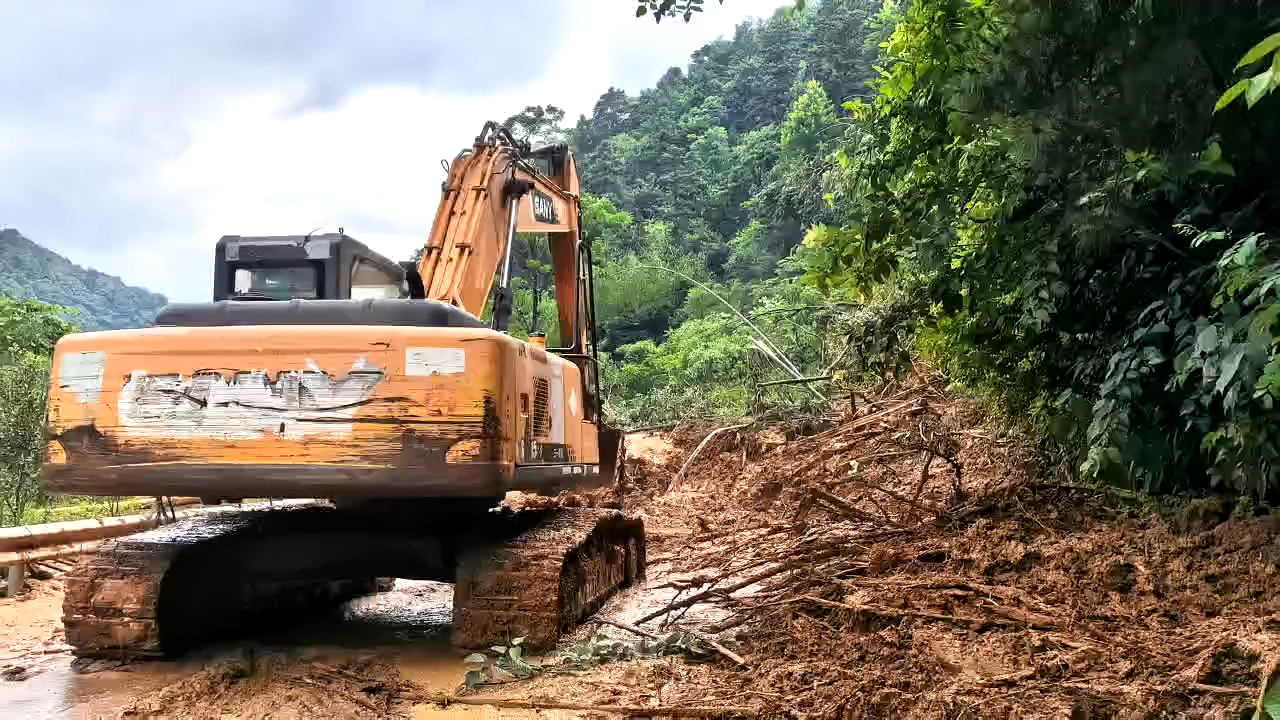 林高远刘诗雯比尹孟泽何小雨
