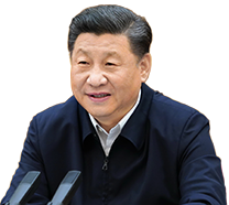 林诗栋张本智和
