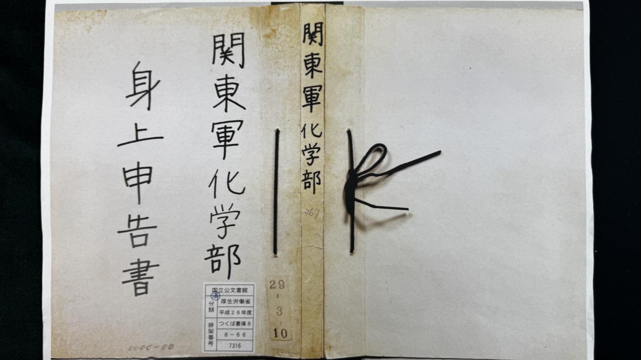 成全视频高清免费观看电视剧