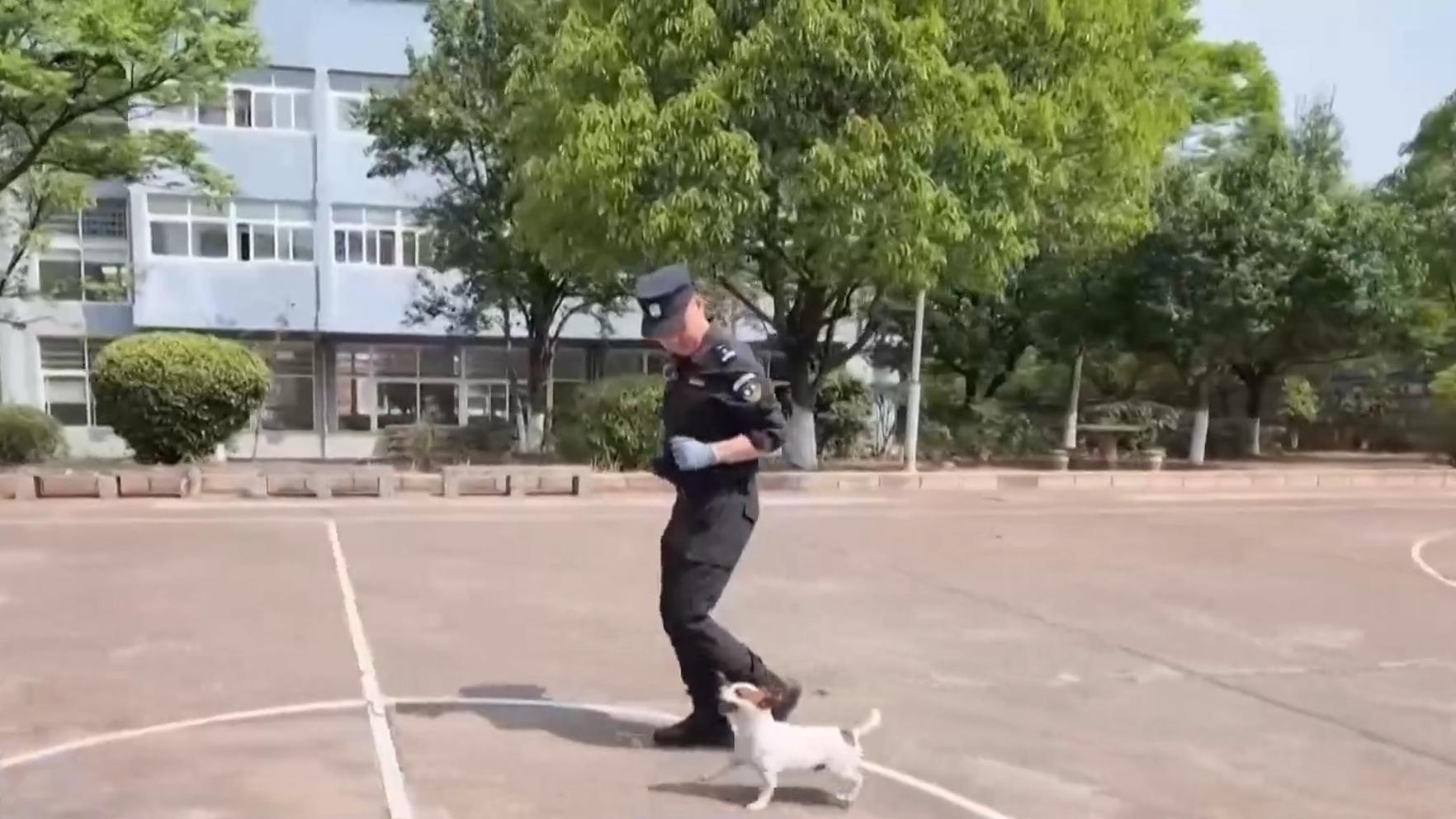 炒股天亏万程序员回应