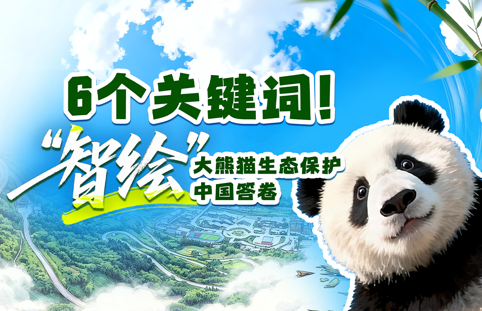 解放军歼击机轰炸机跨海峡奔袭迫近台岛